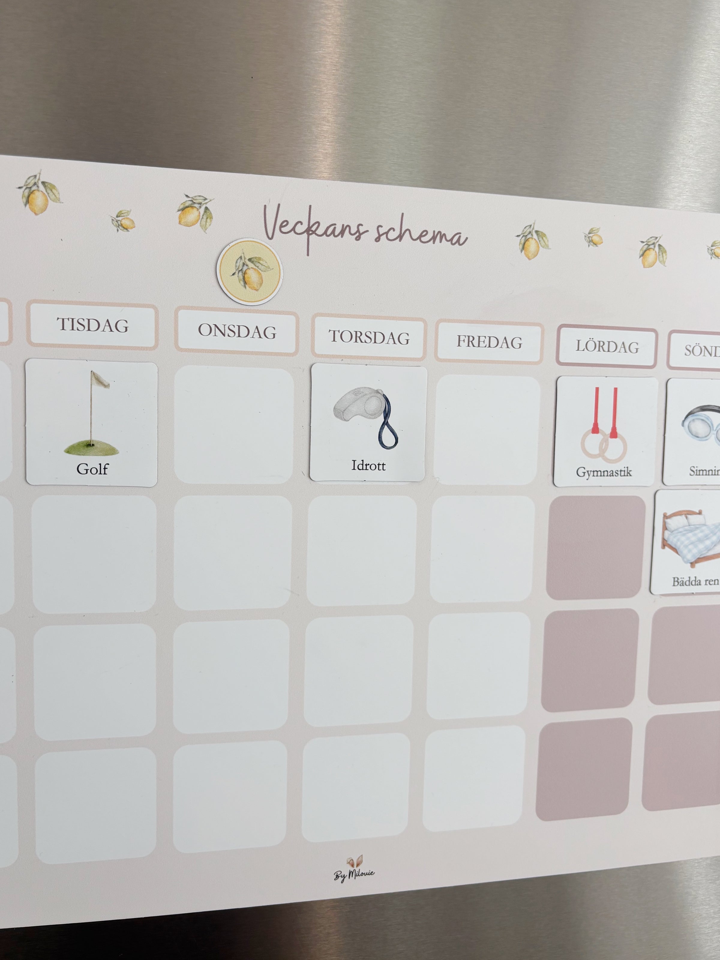 Magnetiskt veckoschema