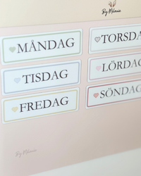 Schema och bildstöd - Leo